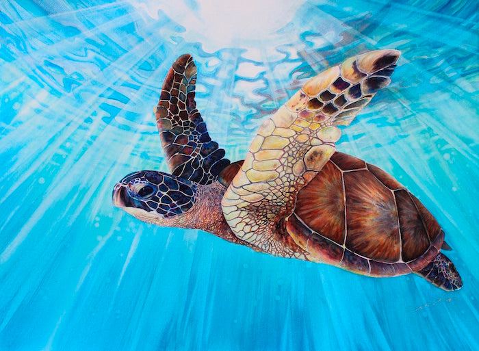 Gracefull Green Sea Turtle swimming through turquoise water with light rays streaming through.