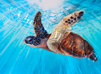 Original Hawaiian Sea Turtle Art Watercolor Painting gemstone paints Aloha Ocean water Nature Fine Art Artist Christie Marie E Russell ©