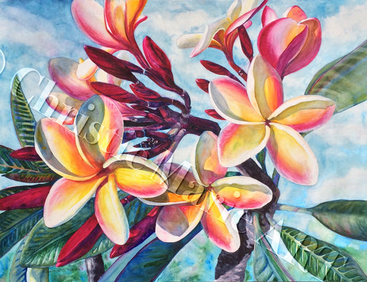 Tropical Plumeria Flowers, Original Large Watercolor Painting Art, Beautiful Hawaiian Koa Wood Frame Artist Christie Marie E. Russell ©