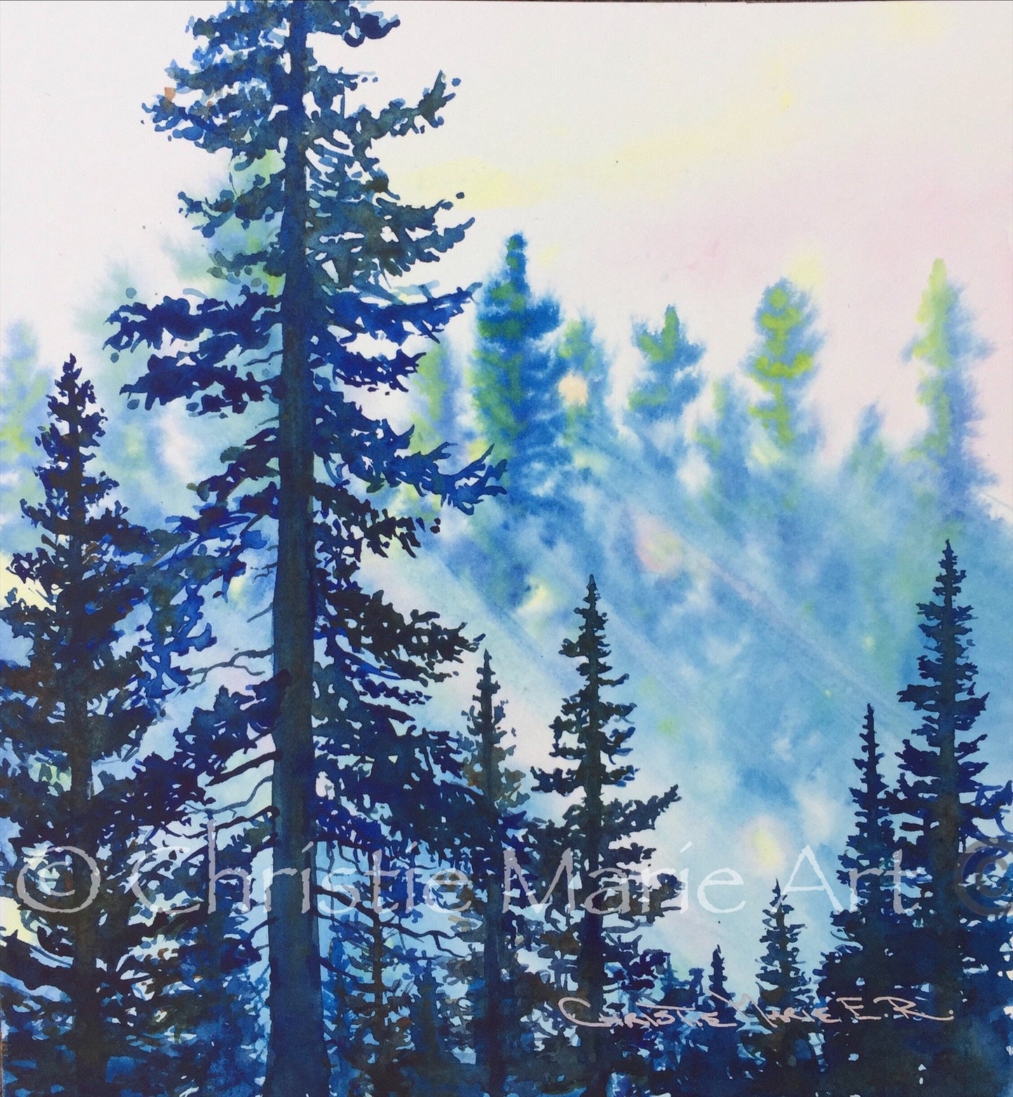 Original Watercolor Art "Forest Light" Framed, Tahoe style silhouetted forest pine trees by artist Christie Marie Elder Russell ©