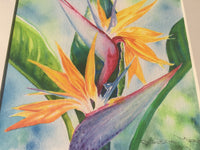 ORIGINAL ART Tropical Flower Bird of Paradise Watercolor Painting Hawaiian Island, Framed by artist Christie Marie E Russell ©